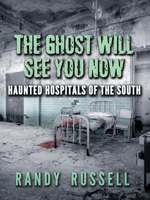 cover image of The Ghost Will See You Now